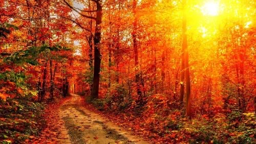 3则关于穷人与富人区别的小故事含感悟-图1 3则关于穷人与富人区别的小故事含感悟-图1