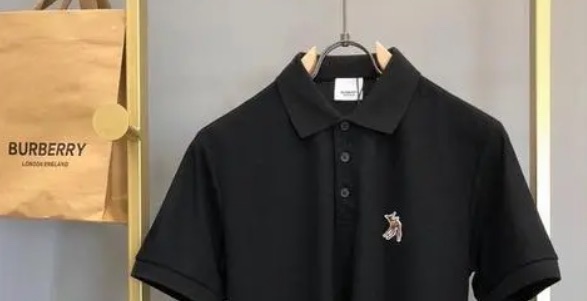 热门polo衫品牌有哪些(著名polo衫品牌推荐)-图1 热门polo衫品牌有哪些(著名polo衫品牌推荐)-图1