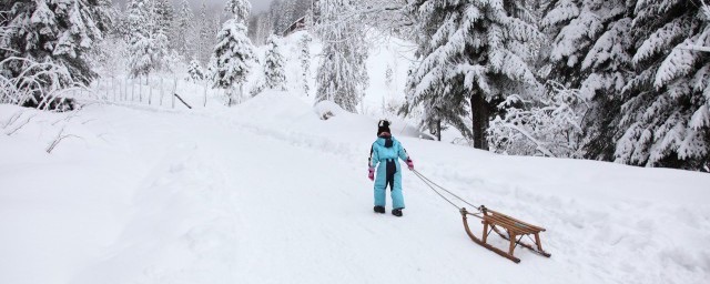 descente是什么品牌?descente是哪个品牌-图1 descente是什么品牌?descente是哪个品牌-图1