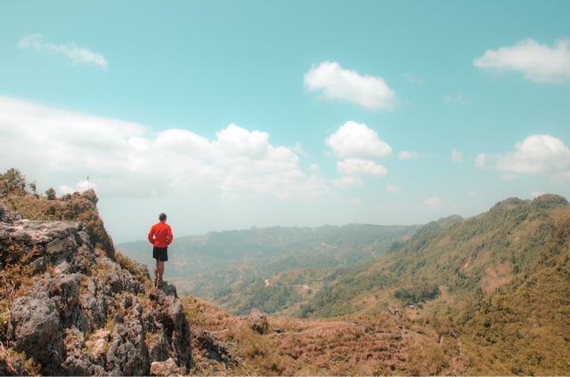 南门荔枝公园(南门荔枝公园在哪)-图1 南门荔枝公园(南门荔枝公园在哪)-图1