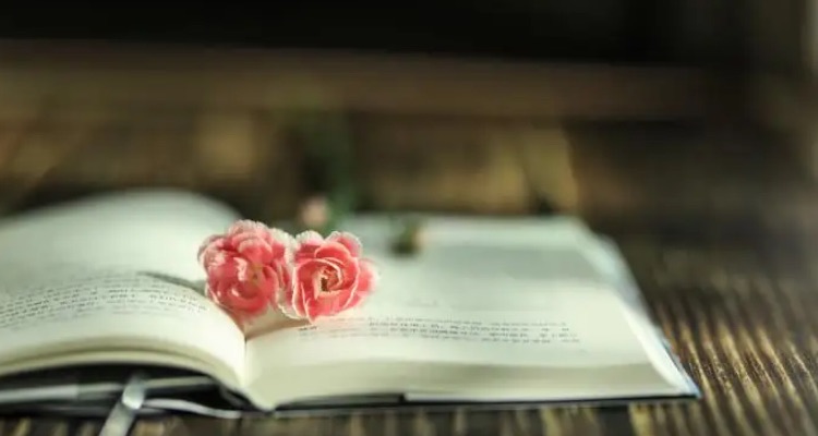 周记的格式:开头写日期、天气情况,然后是所记内容-图1 周记的格式:开头写日期、天气情况,然后是所记内容-图1