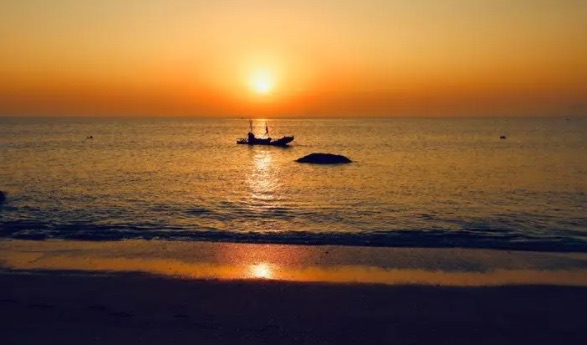 厦门旅游必去十大景点(厦门有哪些必去景点)-图2 厦门旅游必去十大景点(厦门有哪些必去景点)-图2