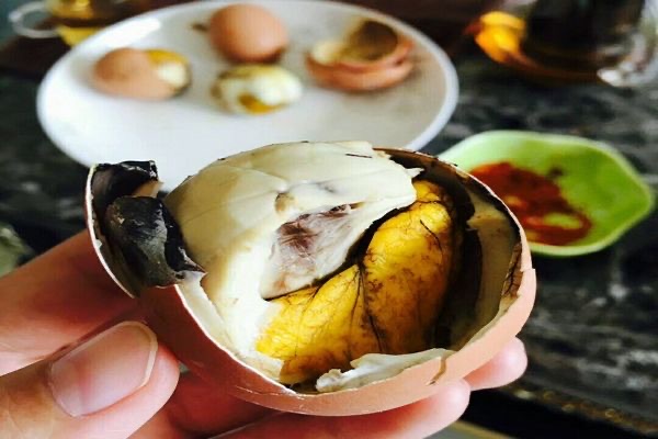 吃活珠子的好处和危害?什么是活珠子是哪里的特产-图2 吃活珠子的好处和危害?什么是活珠子是哪里的特产-图2