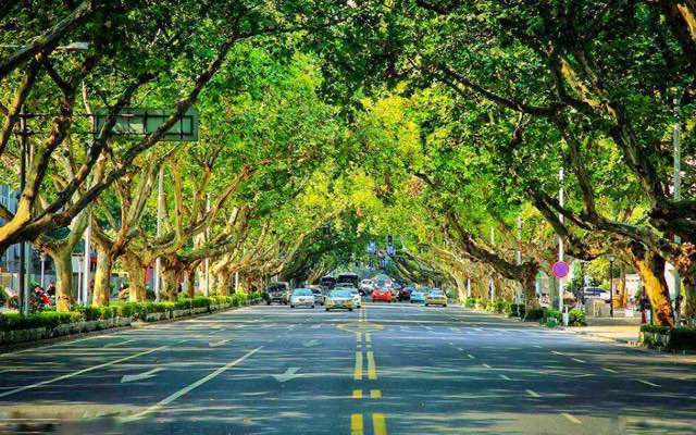 南京十大代表性景区介绍(南京有哪些知名景点)-图2 南京十大代表性景区介绍(南京有哪些知名景点)-图2