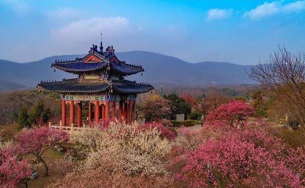 南京十大代表性景区介绍(南京有哪些知名景点)-图3 南京十大代表性景区介绍(南京有哪些知名景点)-图3