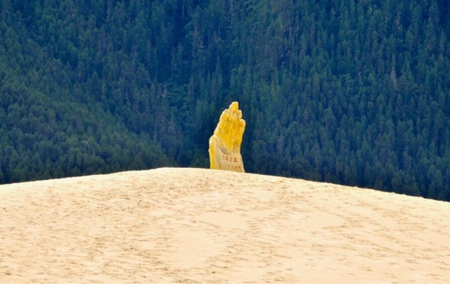西藏七大著名景点介绍:佛掌沙丘庄严肃穆-图2 西藏七大著名景点介绍:佛掌沙丘庄严肃穆-图2