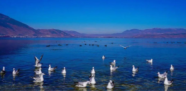 云南必去的五大景点(云南有哪些值得前往的景区)-图1 云南必去的五大景点(云南有哪些值得前往的景区)-图1