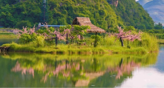 云南必去的五大景点(云南有哪些值得前往的景区)-图4 云南必去的五大景点(云南有哪些值得前往的景区)-图4