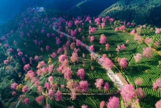 适合2月份旅游的景点有哪些(2月份旅游景点排名前十)-图4 适合2月份旅游的景点有哪些(2月份旅游景点排名前十)-图4