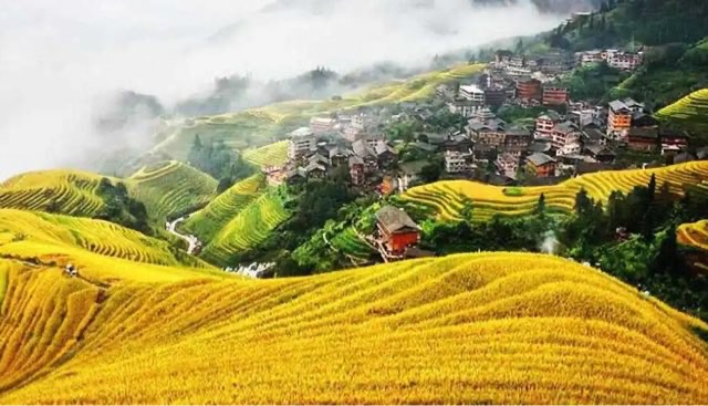 桂林有哪些好玩的地方(到桂林一定要去的景点)-图4 桂林有哪些好玩的地方(到桂林一定要去的景点)-图4