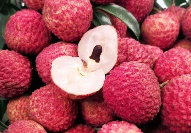 深圳十大特产介绍(深圳有哪些代表性特产)-图1 深圳十大特产介绍(深圳有哪些代表性特产)-图1