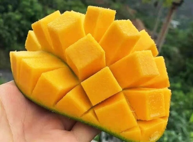 深圳十大特产介绍(深圳有哪些代表性特产)-图4 深圳十大特产介绍(深圳有哪些代表性特产)-图4