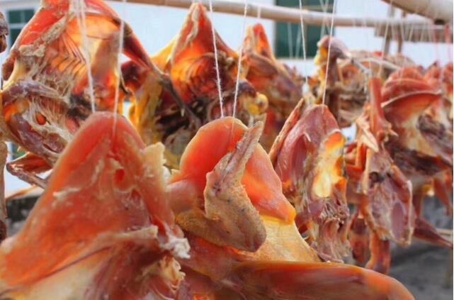 深圳十大特产介绍(深圳有哪些代表性特产)-图5 深圳十大特产介绍(深圳有哪些代表性特产)-图5