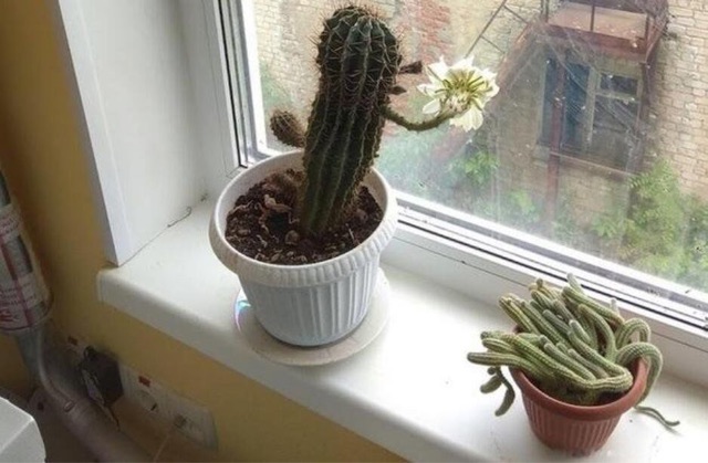 10张笑死十亿人的图片?搞笑图片笑死人不偿命的那种-图4 10张笑死十亿人的图片?搞笑图片笑死人不偿命的那种-图4