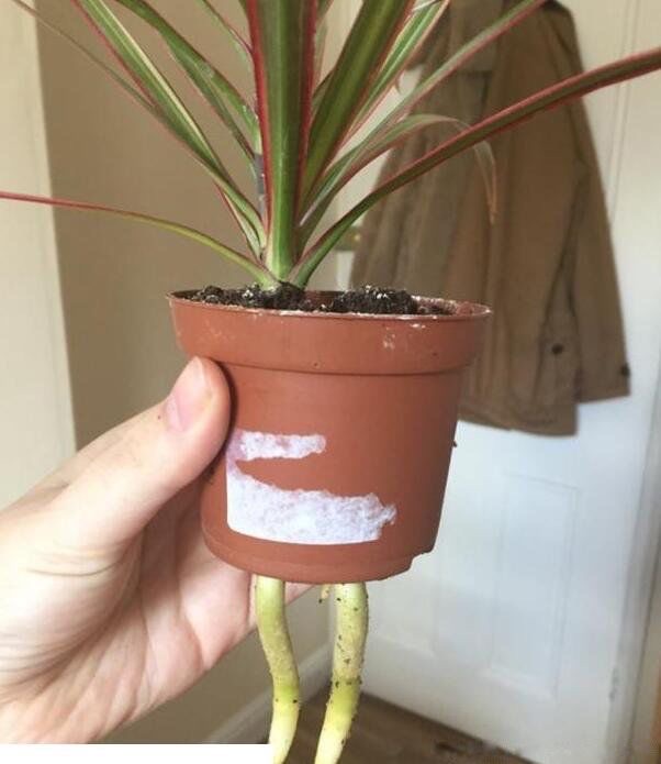 10张笑死十亿人的图片?搞笑图片笑死人不偿命的那种-图7 10张笑死十亿人的图片?搞笑图片笑死人不偿命的那种-图7