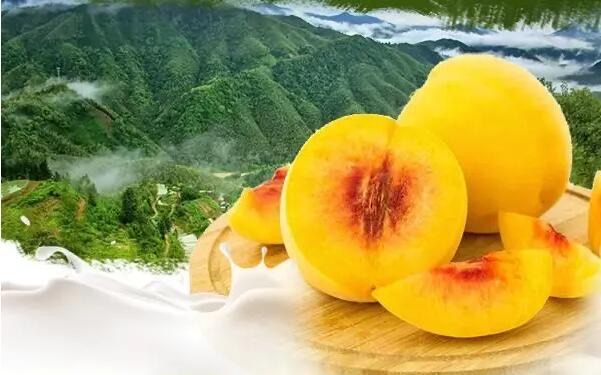 上海有哪些知名特产(上海十大特产介绍)-图2 上海有哪些知名特产(上海十大特产介绍)-图2