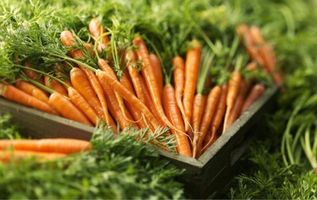 十大最健康的蔬菜盘点:胡萝卜被称为蔬菜人参-图1 十大最健康的蔬菜盘点:胡萝卜被称为蔬菜人参-图1