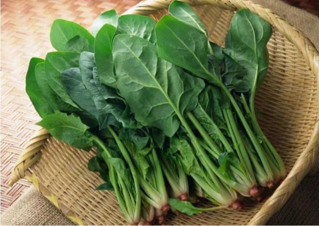 十大最健康的蔬菜盘点:胡萝卜被称为蔬菜人参-图4 十大最健康的蔬菜盘点:胡萝卜被称为蔬菜人参-图4