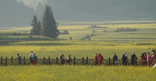 2月份国内最佳旅游景点(盘点十个2月份必去的旅游景区)-图1 2月份国内最佳旅游景点(盘点十个2月份必去的旅游景区)-图1