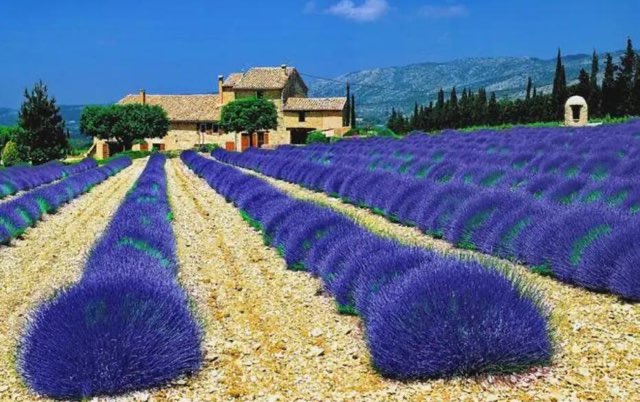 全世界最美的十大景点(全球最受欢迎的热门旅游地)-图2 全世界最美的十大景点(全球最受欢迎的热门旅游地)-图2