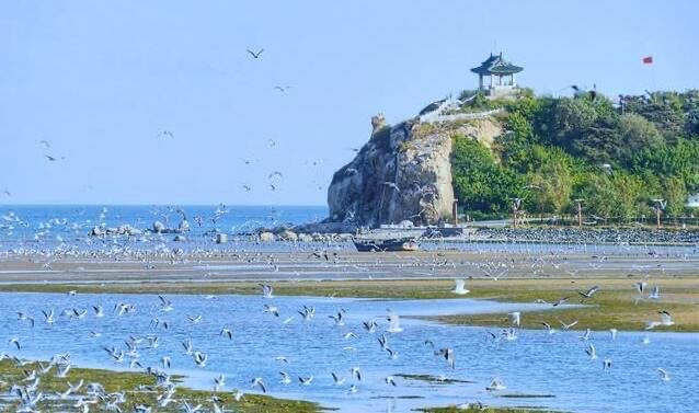 河北最值得一去的景点介绍(河北十大代表性景区盘点)-图4 河北最值得一去的景点介绍(河北十大代表性景区盘点)-图4