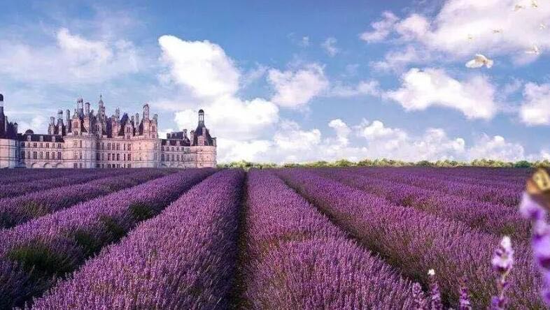 北京十大热门景区介绍(北京最受欢迎的十大景区)-图1 北京十大热门景区介绍(北京最受欢迎的十大景区)-图1