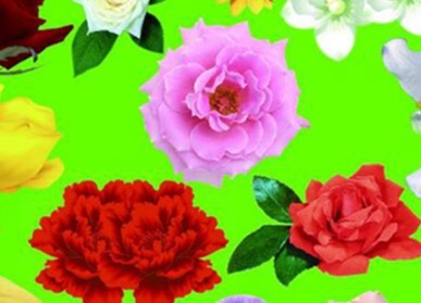 适合送母亲的十种礼物-图1 适合送母亲的十种礼物-图1