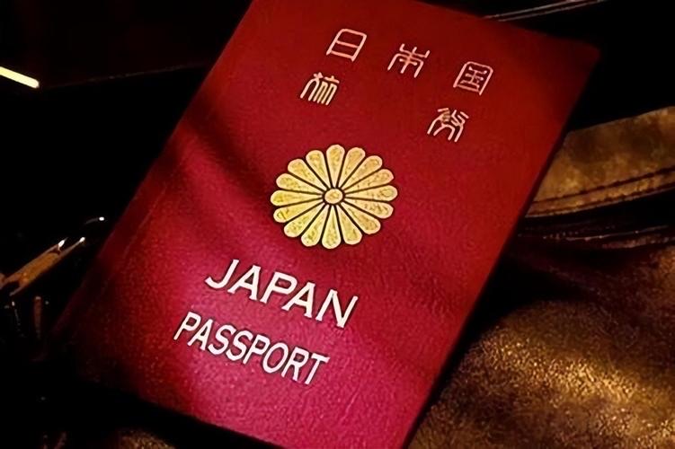 日本签证上哪里表示多次?日本多次签证备注special是什么意思-图1 日本签证上哪里表示多次?日本多次签证备注special是什么意思-图1