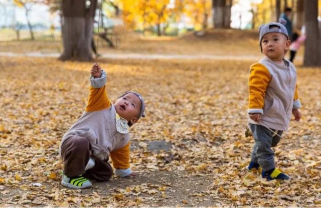 双胞胎之间真的有心灵感应吗?-图3 双胞胎之间真的有心灵感应吗?-图3