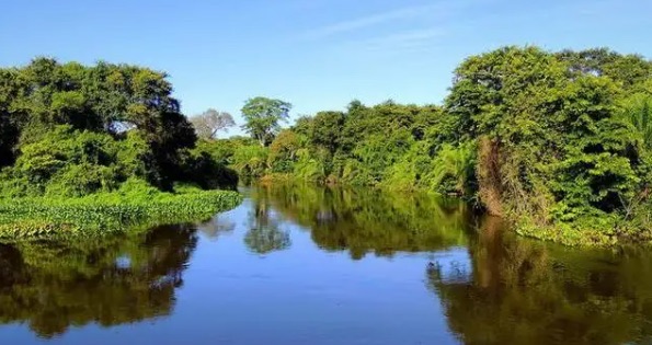 世界十大最美湿地公园(潘塔纳尔榜上第一名)-图1 世界十大最美湿地公园(潘塔纳尔榜上第一名)-图1