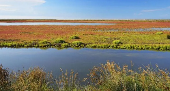 世界十大最美湿地公园(潘塔纳尔榜上第一名)-图2 世界十大最美湿地公园(潘塔纳尔榜上第一名)-图2
