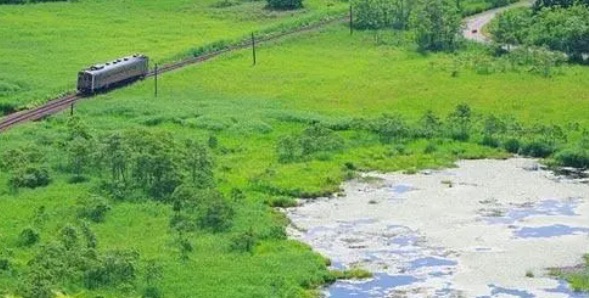 世界十大最美湿地公园(潘塔纳尔榜上第一名)-图4 世界十大最美湿地公园(潘塔纳尔榜上第一名)-图4