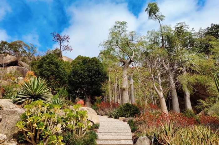 厦门亲子游必去十大景点:厦门海底世界上榜,鼓浪屿排第一位-图3 厦门亲子游必去十大景点:厦门海底世界上榜,鼓浪屿排第一位-图3