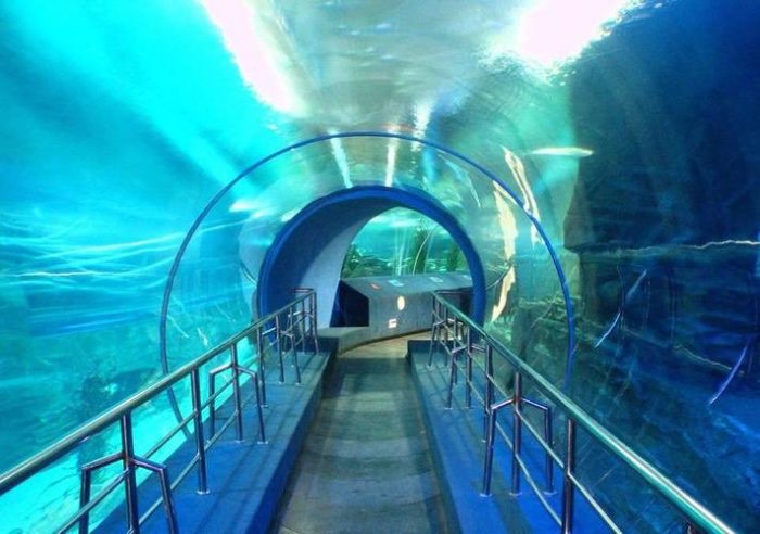 厦门亲子游必去十大景点:厦门海底世界上榜,鼓浪屿排第一位-图7 厦门亲子游必去十大景点:厦门海底世界上榜,鼓浪屿排第一位-图7