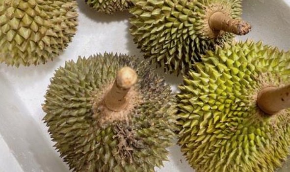 挑选榴莲有哪些方法(榴莲怎么挑才是最好的)-图1 挑选榴莲有哪些方法(榴莲怎么挑才是最好的)-图1