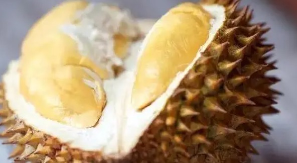 挑选榴莲有哪些方法(榴莲怎么挑才是最好的)-图4 挑选榴莲有哪些方法(榴莲怎么挑才是最好的)-图4