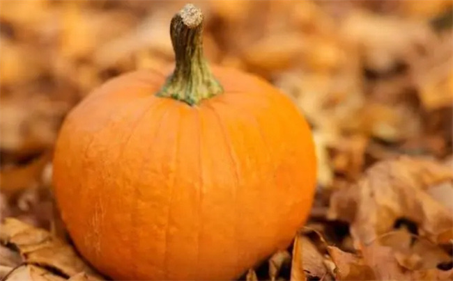 切开的南瓜怎么保存? 学会一招 只要撒一把 保存一周都不变质-图1 切开的南瓜怎么保存? 学会一招 只要撒一把 保存一周都不变质-图1