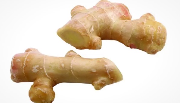 生姜怎么保存不干不烂(生姜发芽了还能吃吗)-图1 生姜怎么保存不干不烂(生姜发芽了还能吃吗)-图1