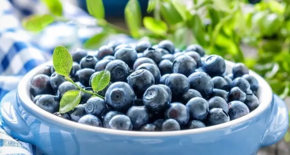 脂肪最怕的三种水果(蓝莓可以加速新陈代谢)-图1 脂肪最怕的三种水果(蓝莓可以加速新陈代谢)-图1