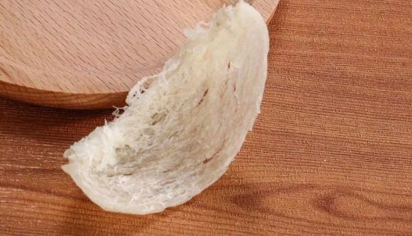 天然燕窝是怎么形成的(天然燕窝为什么这么贵)-图3 天然燕窝是怎么形成的(天然燕窝为什么这么贵)-图3