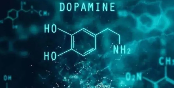 社交恐惧症是怎么形成的-图2 社交恐惧症是怎么形成的-图2