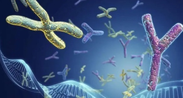 恐慌障碍症是什么导致的-图1 恐慌障碍症是什么导致的-图1