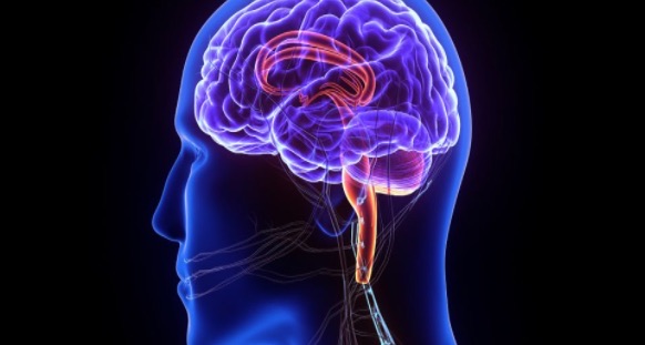 恐慌障碍症是什么导致的-图2 恐慌障碍症是什么导致的-图2