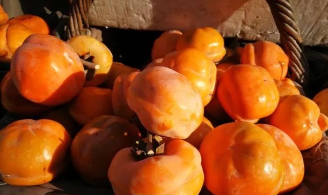 立秋将至,建议大家“吃3宝、避2人”,享受秋天的丰收和美好-图4 立秋将至,建议大家“吃3宝、避2人”,享受秋天的丰收和美好-图4