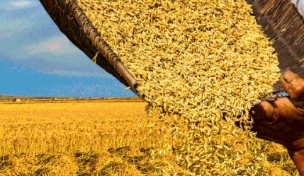 秋分丰收节亚运开幕同一天-图1 秋分丰收节亚运开幕同一天-图1
