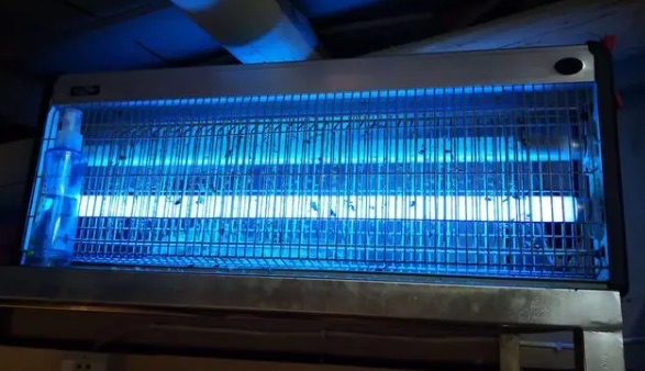 灭蚊灯灭蚊效果怎么样(灭蚊灯紫外线对人体有害吗)-图3 灭蚊灯灭蚊效果怎么样(灭蚊灯紫外线对人体有害吗)-图3