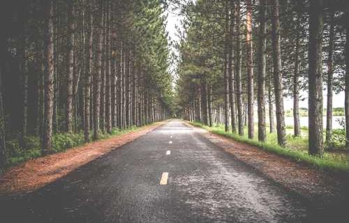 死神中的日世里-图1 死神中的日世里-图1