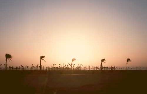 愚人节发的说说-图1 愚人节发的说说-图1