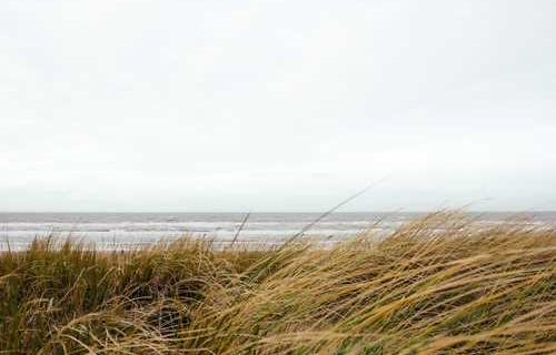 在树上唱rap?打一个字是什么-图1 在树上唱rap?打一个字是什么-图1