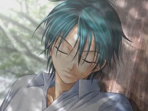 网王bl文-图1 网王bl文-图1